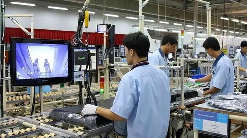 東莞妙齡女子的價值觀危機 經(jīng)濟咨詢服務視角下的反思