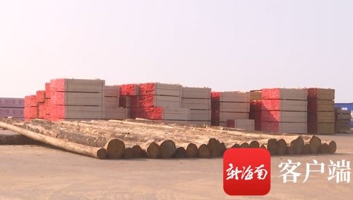 洋浦 海南中順國際木材產業園將打造全省首家大宗進口木材產品交易集散地